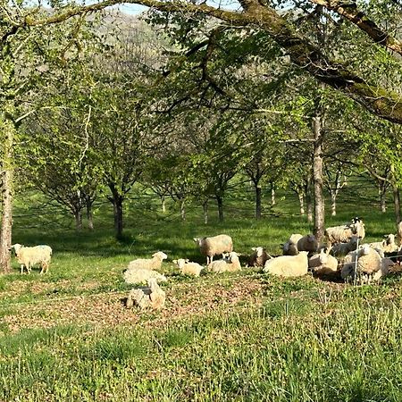 Domaine La Noyeraie Perigord Noir Villa Paulin Esterno foto